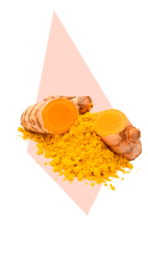 Turmeric ingredient illustration