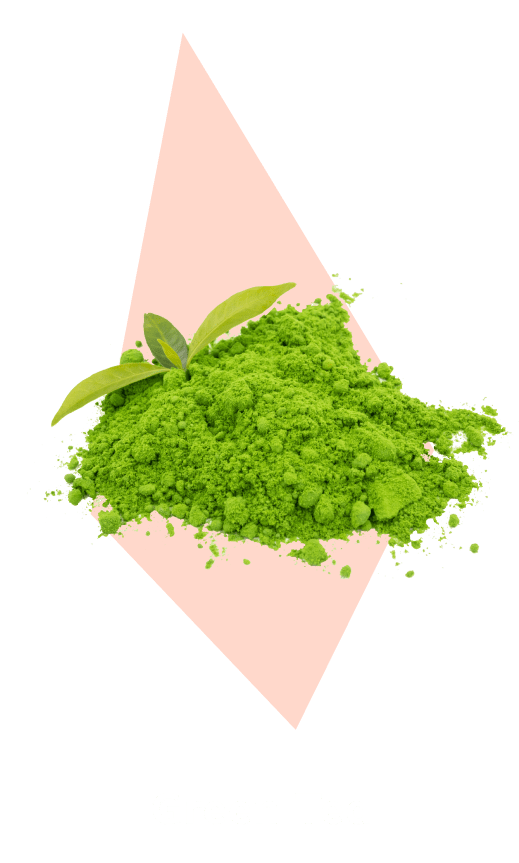 Green Tea ingredient illustration
