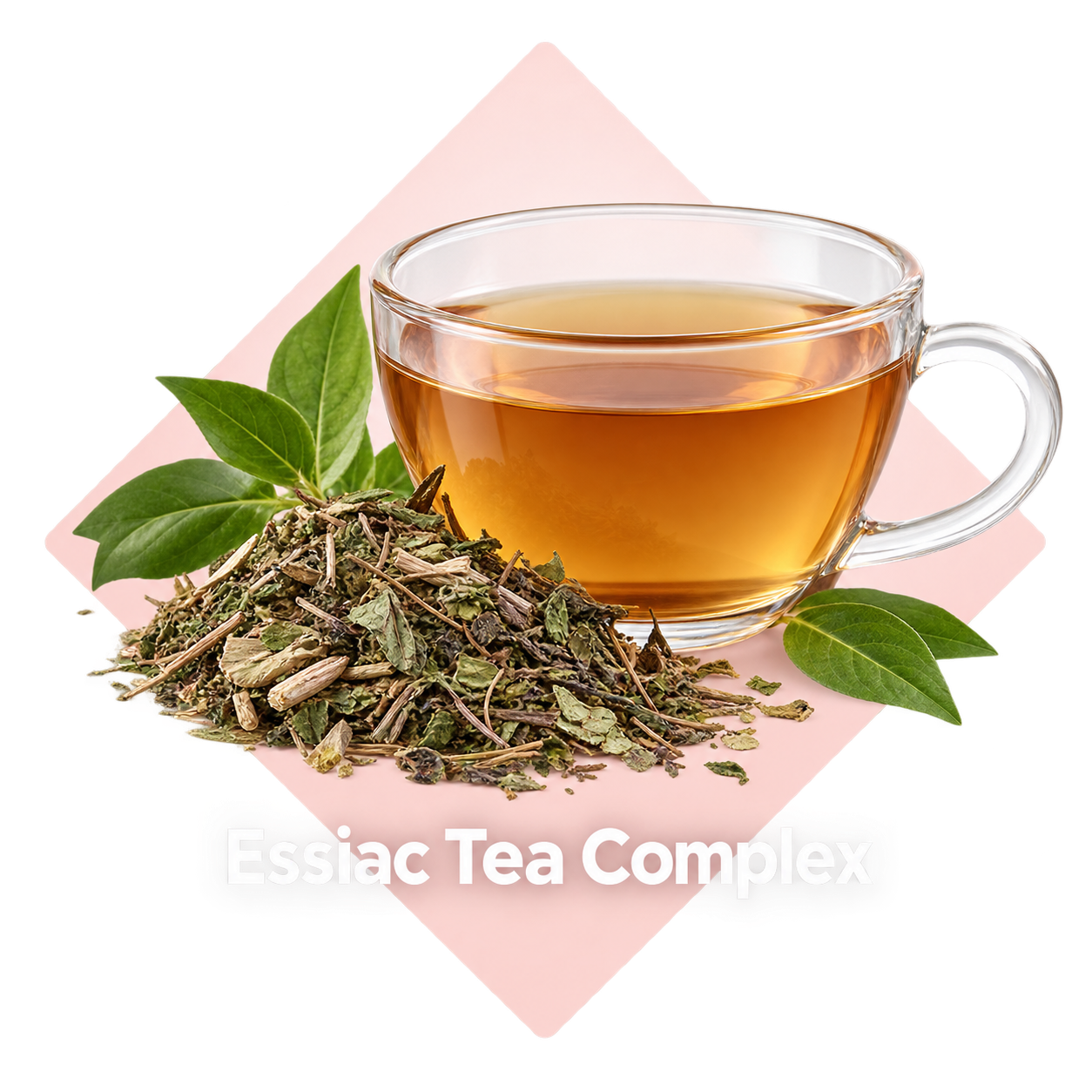 Essiac Tea Complex ingredient illustration
