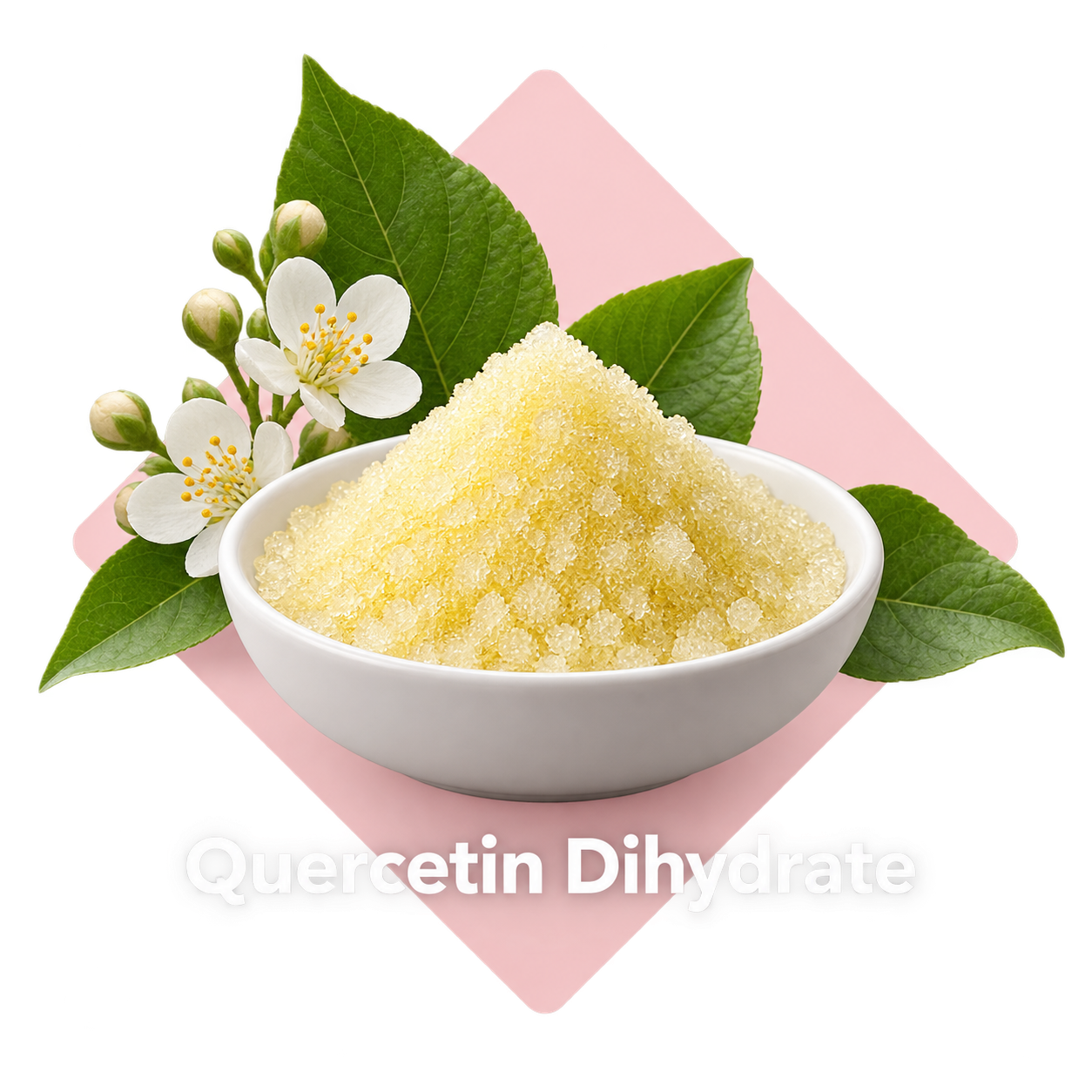 Quercetin Dihydrate ingredient illustration