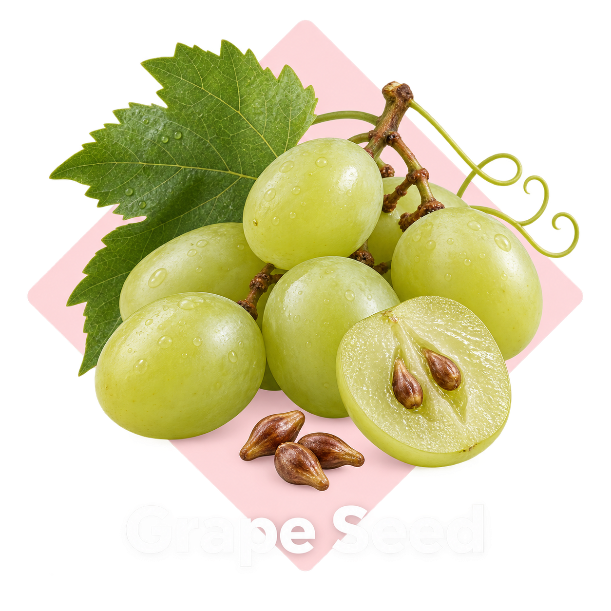 Grape Seed ingredient illustration
